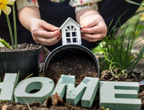 Child Development Sample Post One