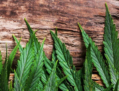 Substance Misuse Sample Post Four